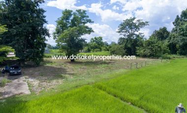 (LS317-00) Nice Plot of Land with Rice Paddy and Mountain Views for Sale in a Moo Ban in Doi Saket