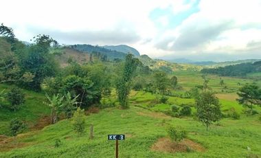 Aset Investasi Tanah Villa Kebun Durian Jeruk dll di Bogor