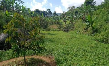 Aset Investasi Tanah Villa Kebun Durian Jeruk dll di Bogor