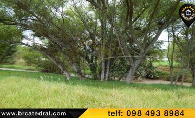 Terreno de venta en Sector Zhullin – código:12276