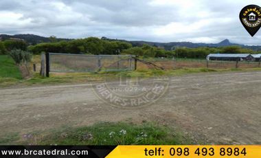 Terreno de venta en Sector Zhullin – código:12276