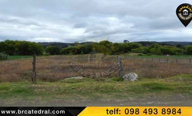 Terreno de venta en Sector Zhullin – código:12276