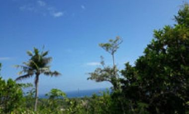 OCEAN VIEW LOT FOR SALE IN SIQUIJOR SIQ0047