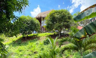 finca en venta en piojo. Cod V26676