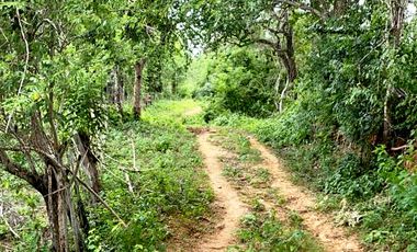 finca en venta en piojo. Cod V26676