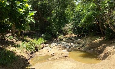 finca en venta en piojo. Cod V26676