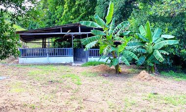 finca en venta en piojo. Cod V26676