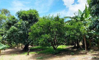 finca en venta en piojo. Cod V26676