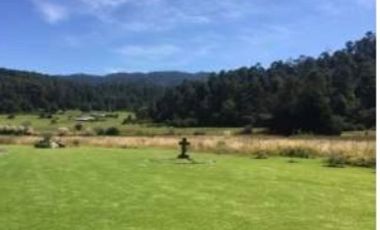 Hermoso rancho en los Saúcos