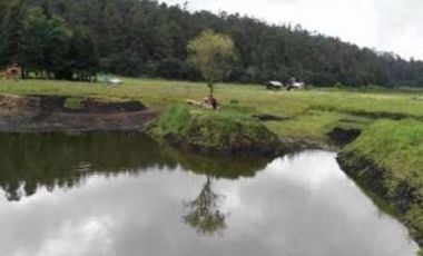 Hermoso rancho en los Saúcos