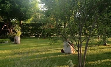 VENTA DE CASA QUINTA EN ALLEN