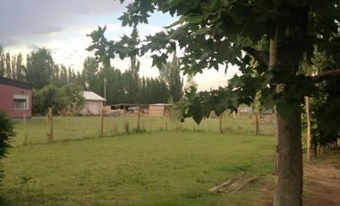 VENTA DE CASA QUINTA EN ALLEN