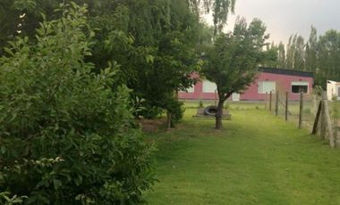VENTA DE CASA QUINTA EN ALLEN
