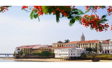 Se vende propiedad para inversión, Caso Antiguo