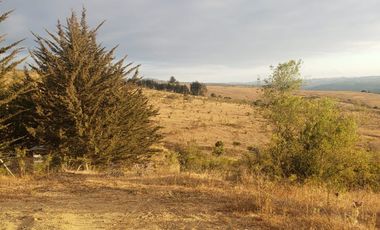 Terreno Alto Santo Domingo