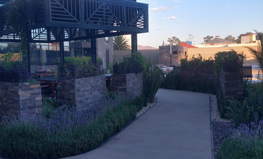 EXCELENTE  LOFT EN RENTA  TORRE NYMPHE , LEÓN, GTO