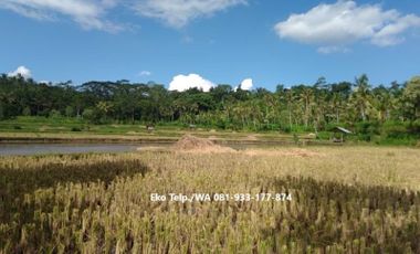 Tanah Sawah Murah Subur Produktif dekat Wahana Wisata Air
