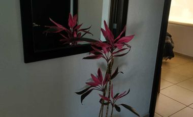 Metepec Edomex  Foresta Dreams Lagoon Departamento con entera vista a la laguna y montañas