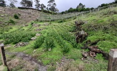 finca en venta en mesitas del colegio. Cod V11165