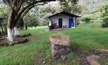 finca en venta en mesitas del colegio. Cod V11165