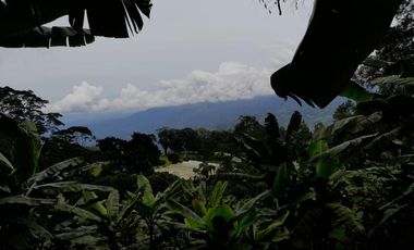 finca en venta en mesitas del colegio. Cod V11165