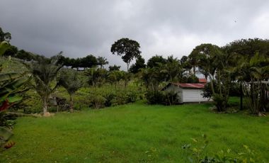finca en venta en mesitas del colegio. Cod V11165