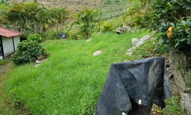 finca en venta en mesitas del colegio. Cod V11165