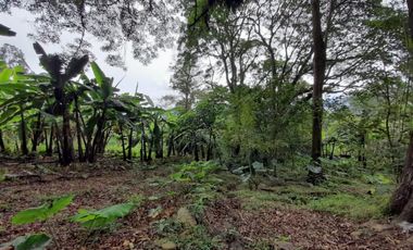 finca en venta en mesitas del colegio. Cod V11165