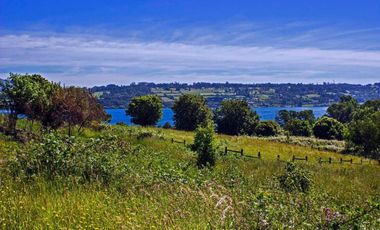 Espectaculares Parcelas De 5000m2, Con Acceso A Lago, Panguipulli