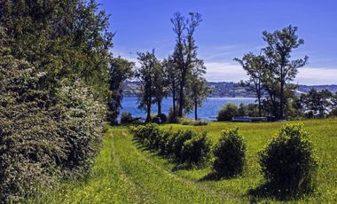 Espectaculares Parcelas De 5000m2, Con Acceso A Lago, Panguipulli