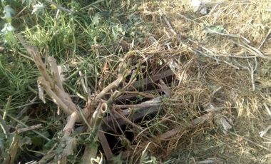 Lote de terreno en VENTA con mejoras, posee escritura e impuestos al día.