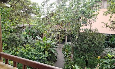 Hotel - Mindo