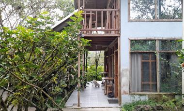 Hotel - Mindo