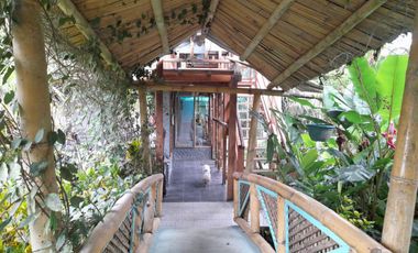 Hotel - Mindo