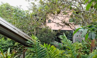 Hotel - Mindo