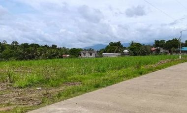 LOT FOR LEASE / SALE Victorias City Negros Occidental Phillipines
