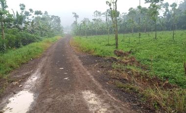 10 Ha Tanah Split dari 200 Ha, Dekat Jalan Nasional Nagreg, Kabupaten Bandung