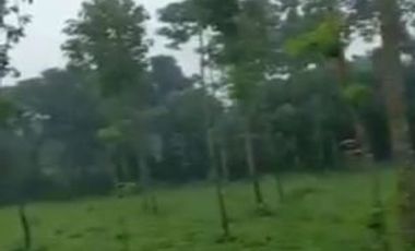 10 Ha Tanah Split dari 200 Ha, Dekat Jalan Nasional Nagreg, Kabupaten Bandung