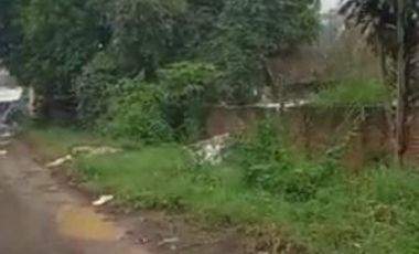 10 Ha Tanah Split dari 200 Ha, Dekat Jalan Nasional Nagreg, Kabupaten Bandung