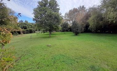 LONQUEN COSTADO COLEGIO SAN FELIPE DIACONO