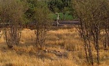 Sitio en Venta en Las Brisas de Chicureo