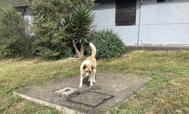 CASA CAMPESTRE VENTA GUASCA VDA MARIANO OSPINA, C. V 1497