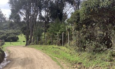 CASA CAMPESTRE VENTA GUASCA VDA MARIANO OSPINA, C. V 1497