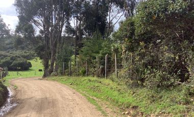 CASA CAMPESTRE VENTA GUASCA VDA MARIANO OSPINA, C. V 1497