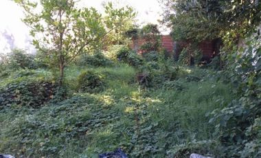LOTE de 300 M2 CON MEJORAS