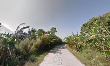 1 hectare lot in Batulao Road near Calaruega & Tagaytay