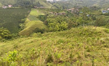 FINCA EN VENTA EN DOSQUEBRADAS RISARALDA