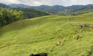 FINCA EN VENTA EN DOSQUEBRADAS RISARALDA