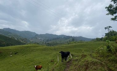 FINCA EN VENTA EN DOSQUEBRADAS RISARALDA