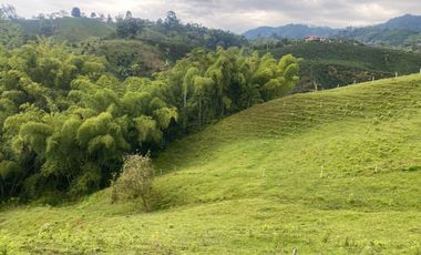 FINCA EN VENTA EN DOSQUEBRADAS RISARALDA